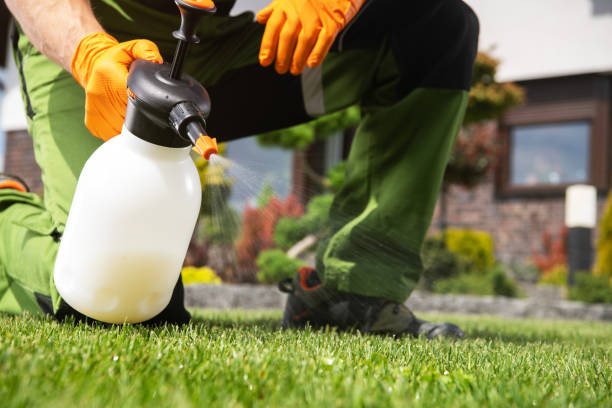 Best Seasonal Pest Control  in Richland Hills, TX